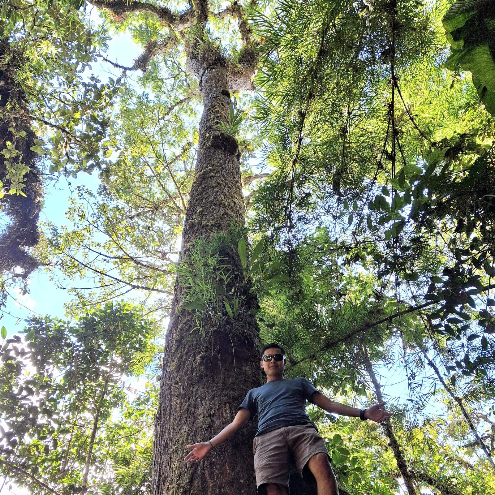 viaje-conexion-naturaleza